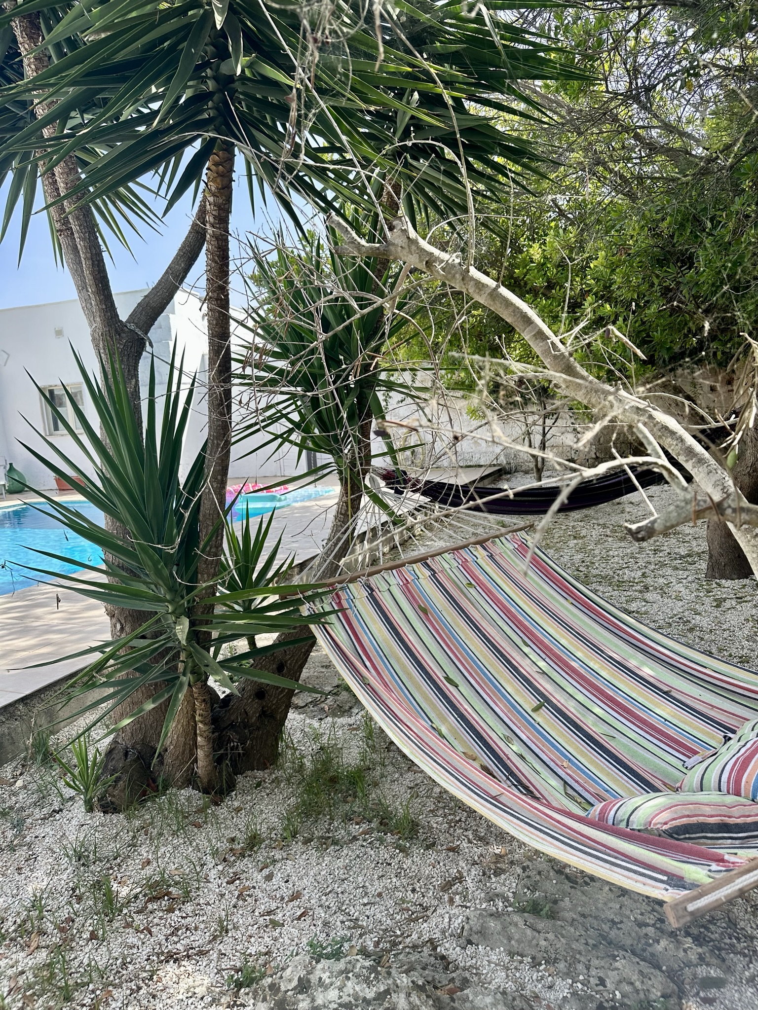 Masseria Terra di Marina - Accommodates: 19 Beds: 6 Singles, 6 Kings and a sofa bed (Entire Property)