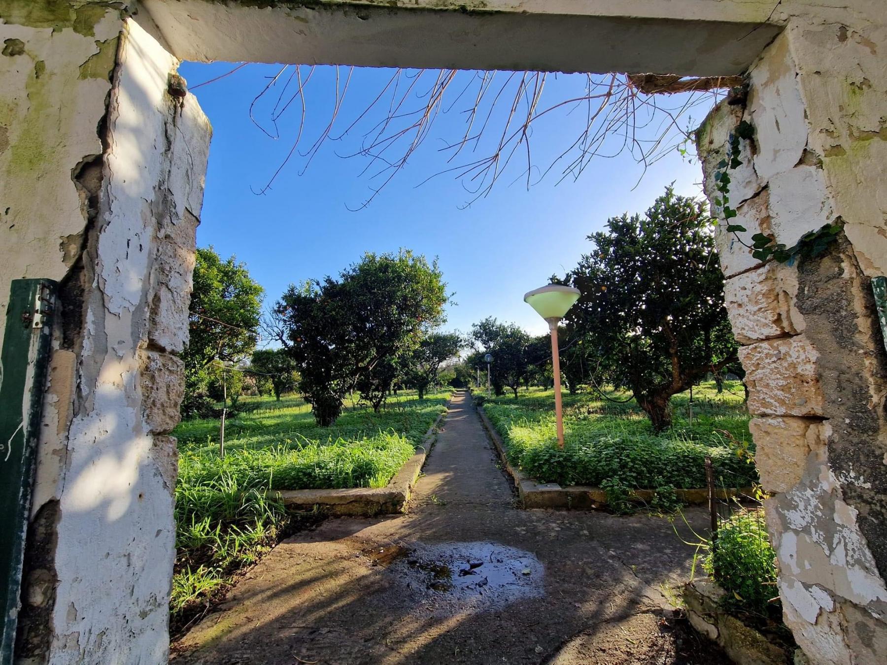 Masseria Terra di Marina - Accommodates: 19 Beds: 6 Singles, 6 Kings and a sofa bed (Entire Property)