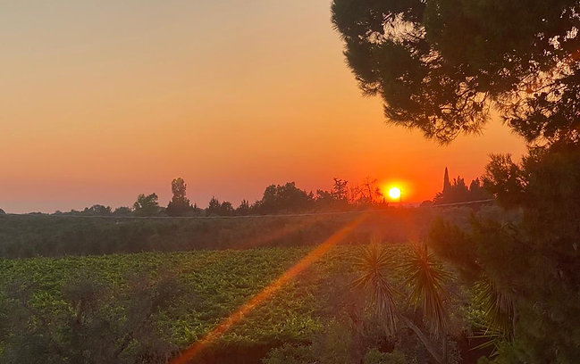 Sunset Suite - Accommodates: 4 Beds: 1 Single, 1 King four-poster, 1 sofa bed