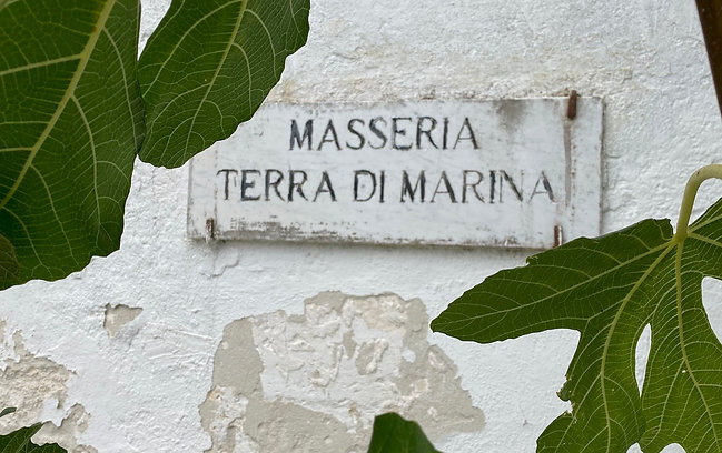 Masseria Terra di Marina - Posti letto: 19 Letti: 6 singoli, 6 matrimoniali (intera proprietà)
