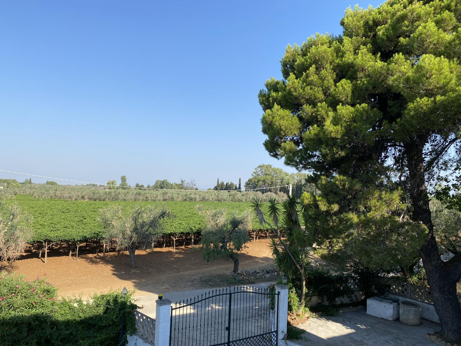 Masseria Terra di Marina - Italy Heaven -  Masseria Terra di Marina