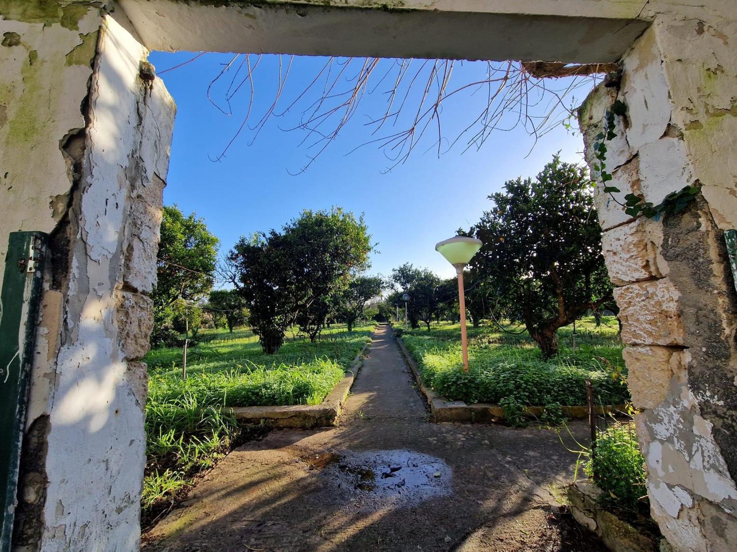 Masseria Terra di Marina - Italy Heaven -  Masseria Terra di Marina