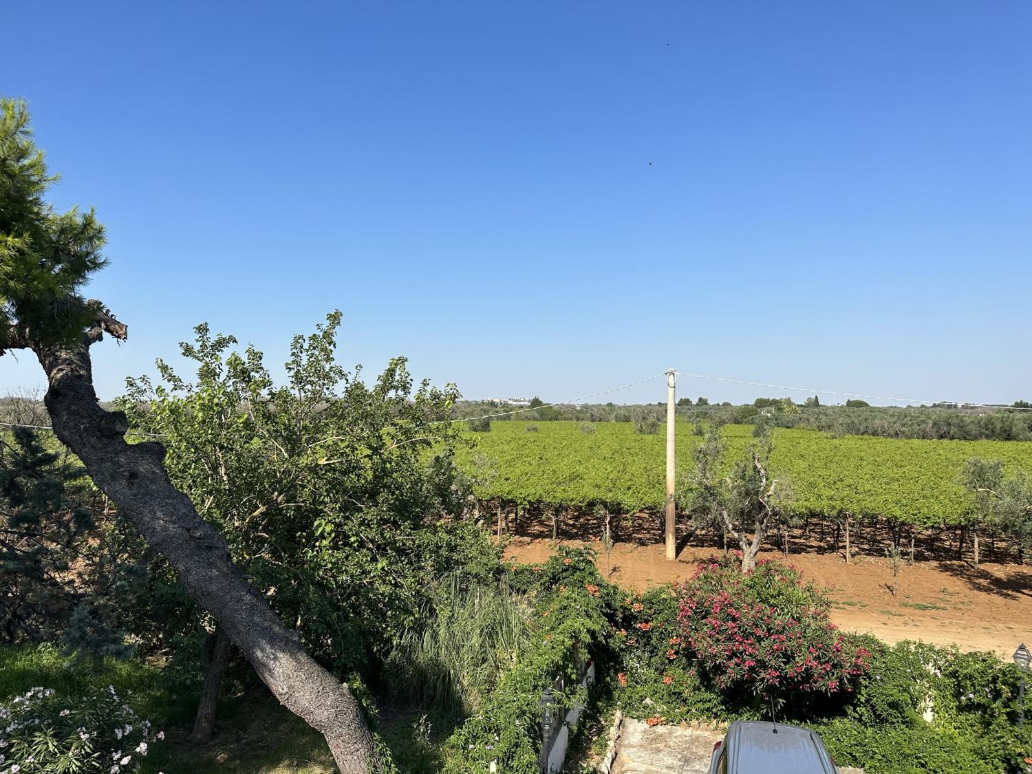 Masseria Terra di Marina - Italy Heaven -  Masseria Terra di Marina