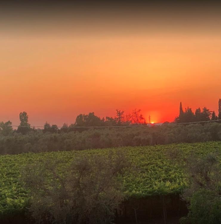 Masseria Terra di Marina - Italy Heaven -  Masseria Terra di Marina