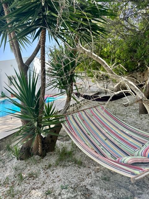 Masseria Terra di Marina - Italy Heaven -  Masseria Terra di Marina