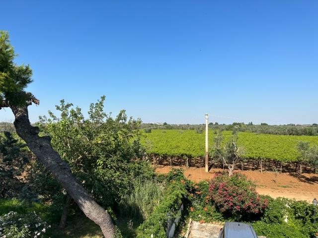 Masseria Terra di Marina - Italy Heaven -  Masseria Terra di Marina